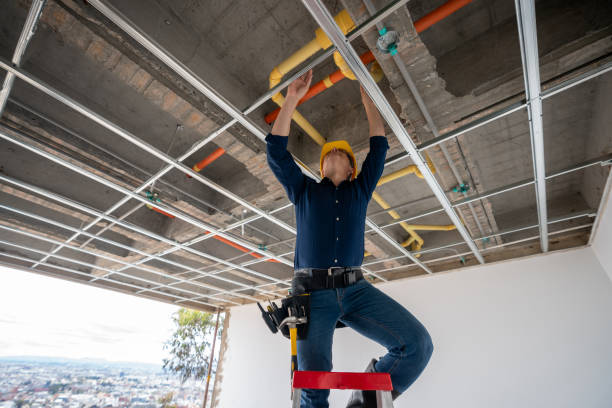 Best Commercial Plumbing Services  in Ridge Manor, FL