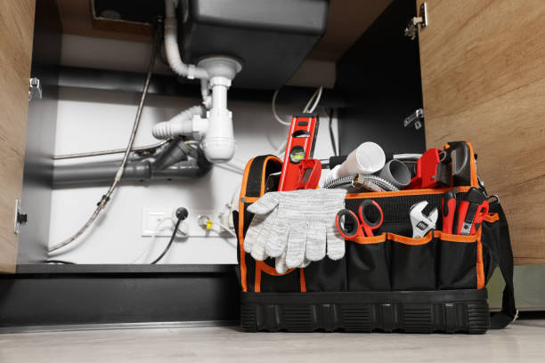 Best Local Plumber Services  in Ridge Manor, FL