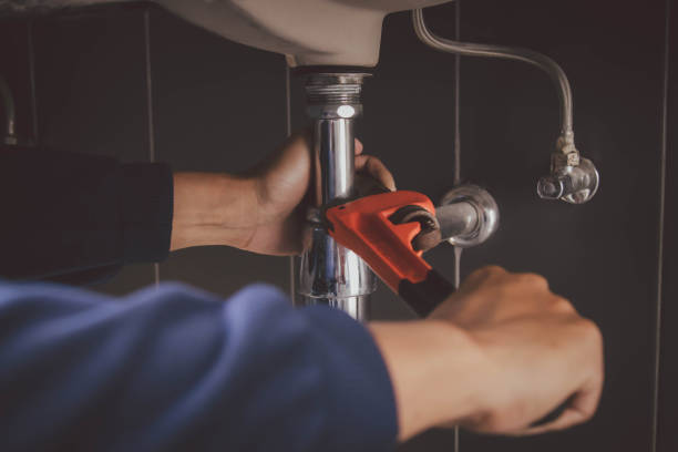 Best Clogged Drain Plumber  in Ridge Manor, FL